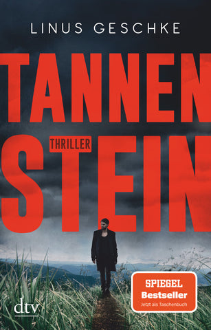 Tannenstein - Bild 1