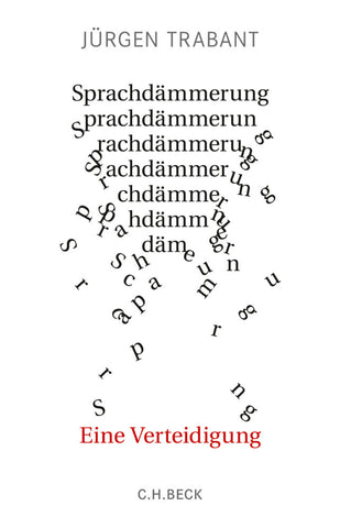 Sprachdämmerung - Bild 1