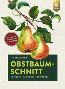 Obstbaumschnitt - Bild 1