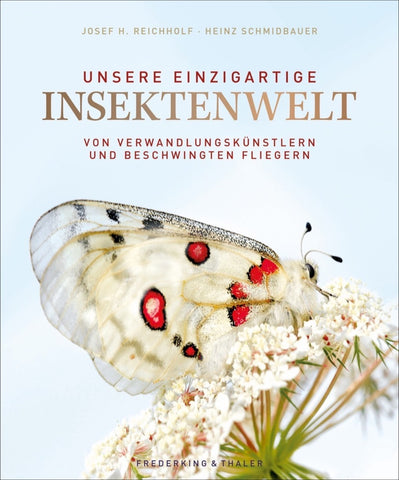 Unsere einzigartige Insektenwelt - Bild 1