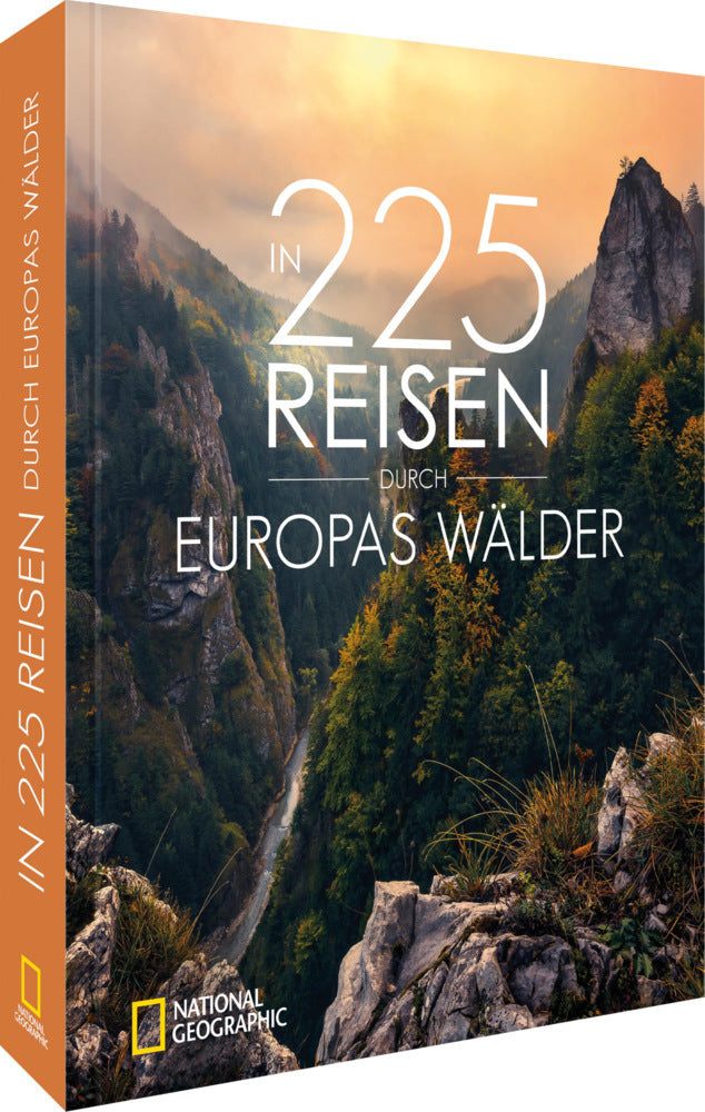 In 225 Reisen durch Europas Wälder - Bild 1