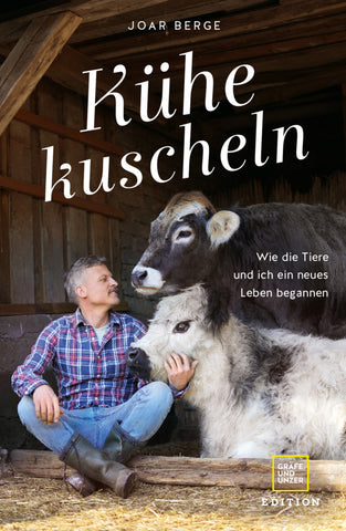 Kühe kuscheln - Bild 1