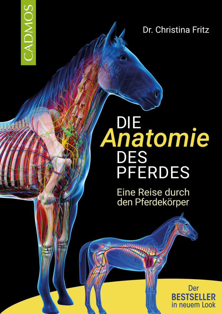 Die Anatomie des Pferdes - Bild 1